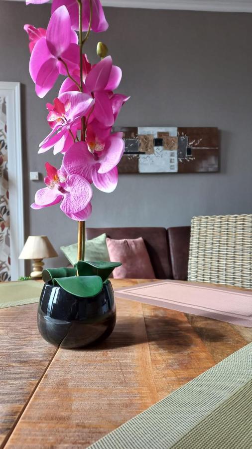 Studios Et Appartements En Centre Ville Boulogne Sur Mer מראה חיצוני תמונה